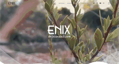 Desktop Screenshot of enixsandals.com